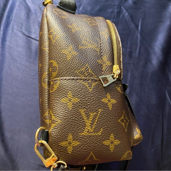 Louis Vuitton Palm Springs Backpack Mini Brown Canvas - Picture 12 of 15